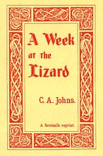 A Week at the Lizard